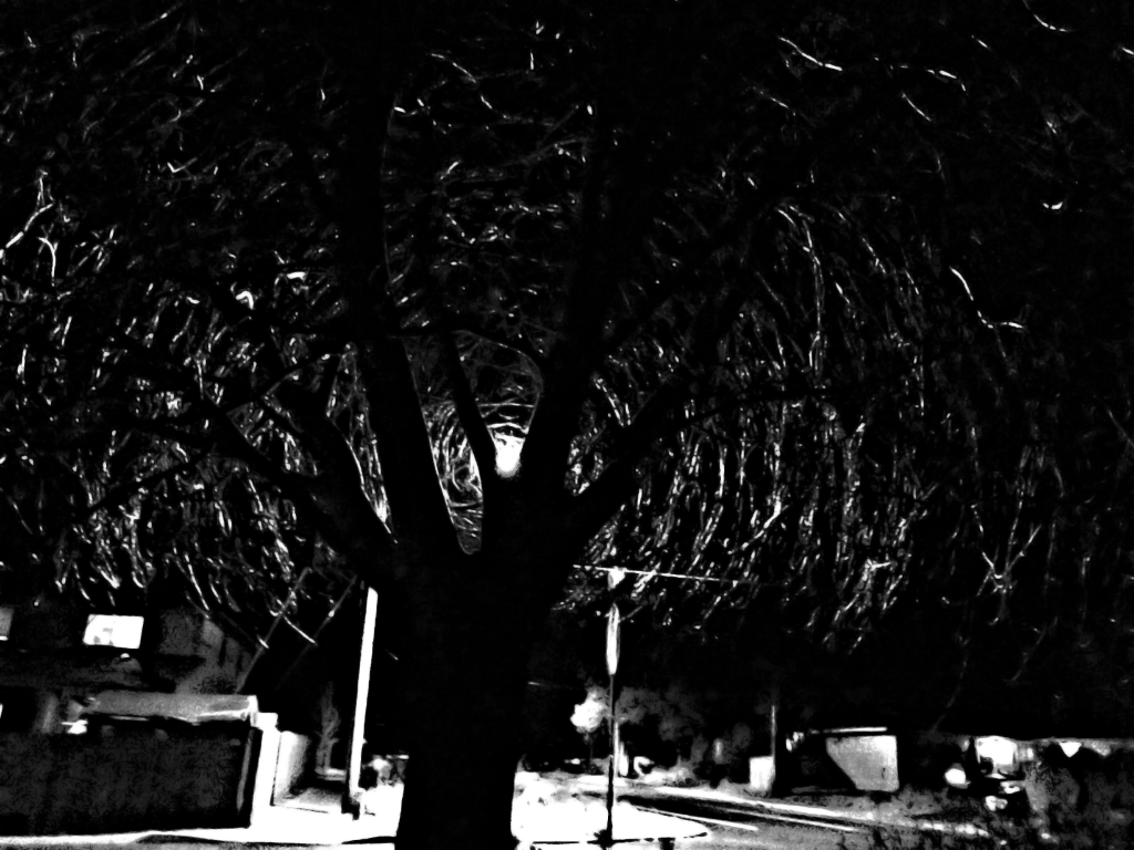 Nighttime street light highlight